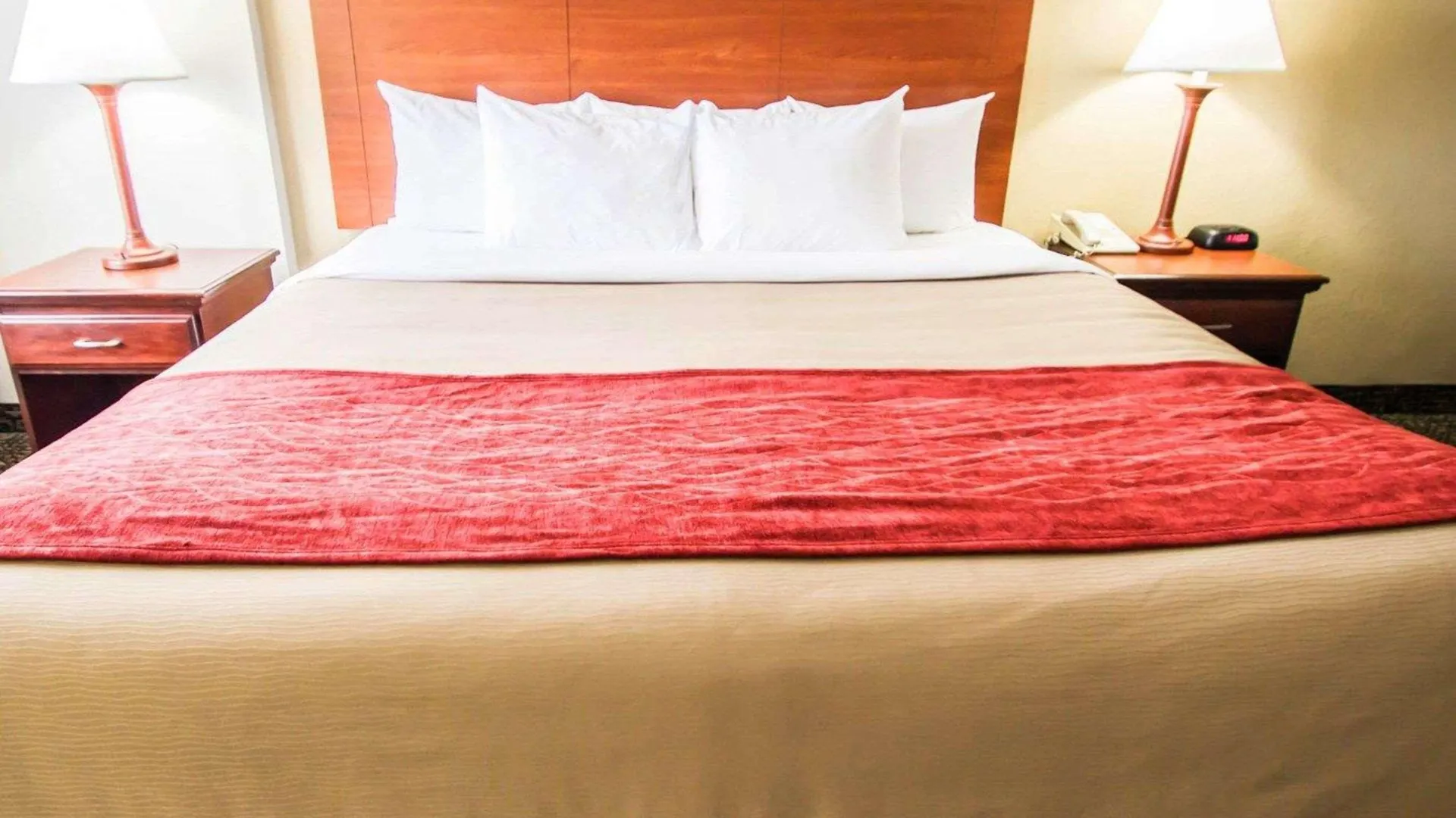 Hotel Quality Inn & Suites Winter Park Village Area Orlando